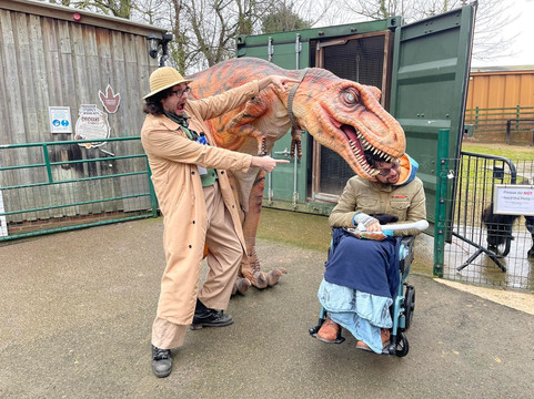 热带蝴蝶馆，野生动物和狩猎中心-谢菲尔德必去景点