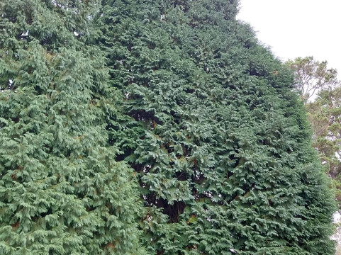 Closeburn House主图