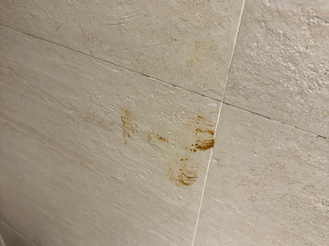 萨塔拉芬恩公寓主图