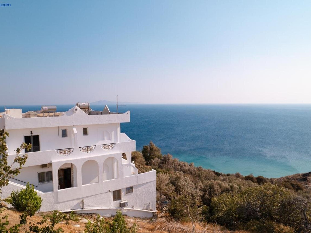 Andros Seaview Hotel