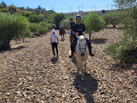 Club Hipic El Camp-Llanca必去景点