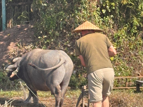 Living Land农场体验之旅-琅勃拉邦必去景点