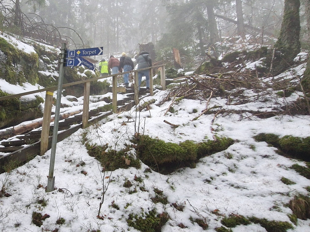 Alingsas Moose Safari-Alingsas必去景点