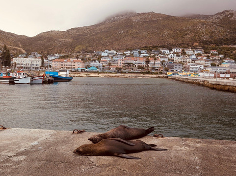 Kalk Bay Harbour-Kalk Bay必去景点