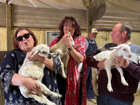 Cress Creeks Farm And Corn Maze-Ellijay必去景点