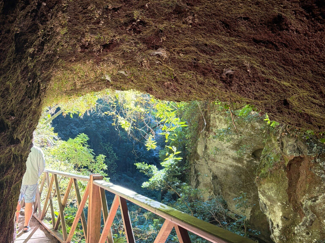 Cascada De los Tilos-San Andres y Sauces必去景点