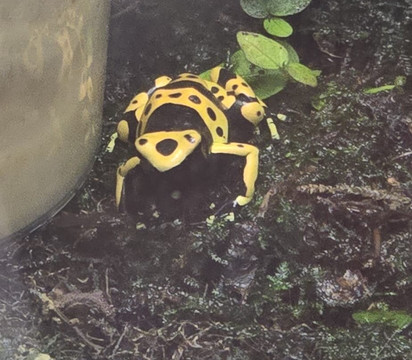 Exmoor Zoo-巴恩斯特珀尔必去景点