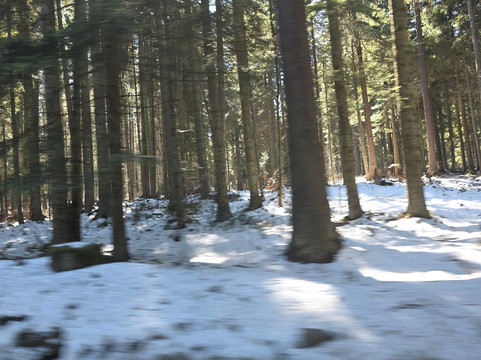 Borovets Ski Resort-波罗维兹必去景点