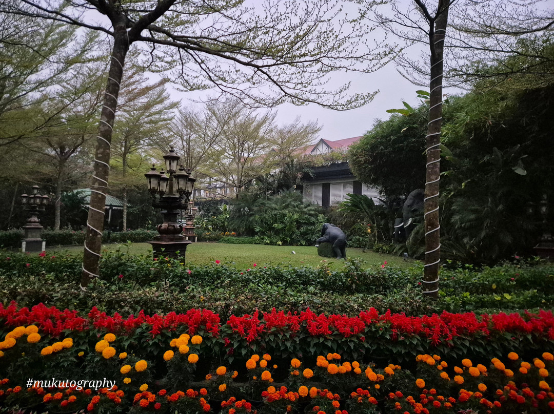 梅菲尔茶度假村主图