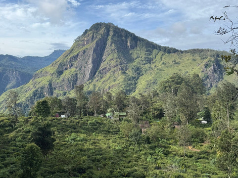 My Driver Sri Lanka-卡图纳耶克必去景点