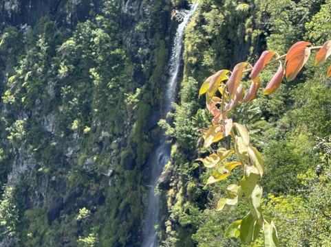 Mauritius Taxi & Tour Service-毛里求斯必去景点