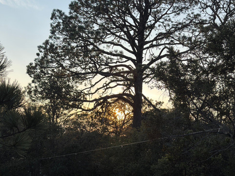 Sky Obsession Astroturismo-克雷塔罗必去景点