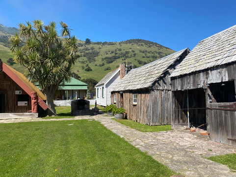Okains Bay Maori and Colonial Museum-基督城必去景点