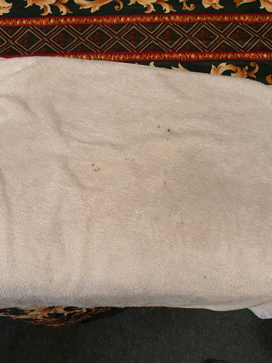 Hilltop Motel-官方