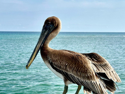 Boynton Inlet-博因顿海滩必去景点