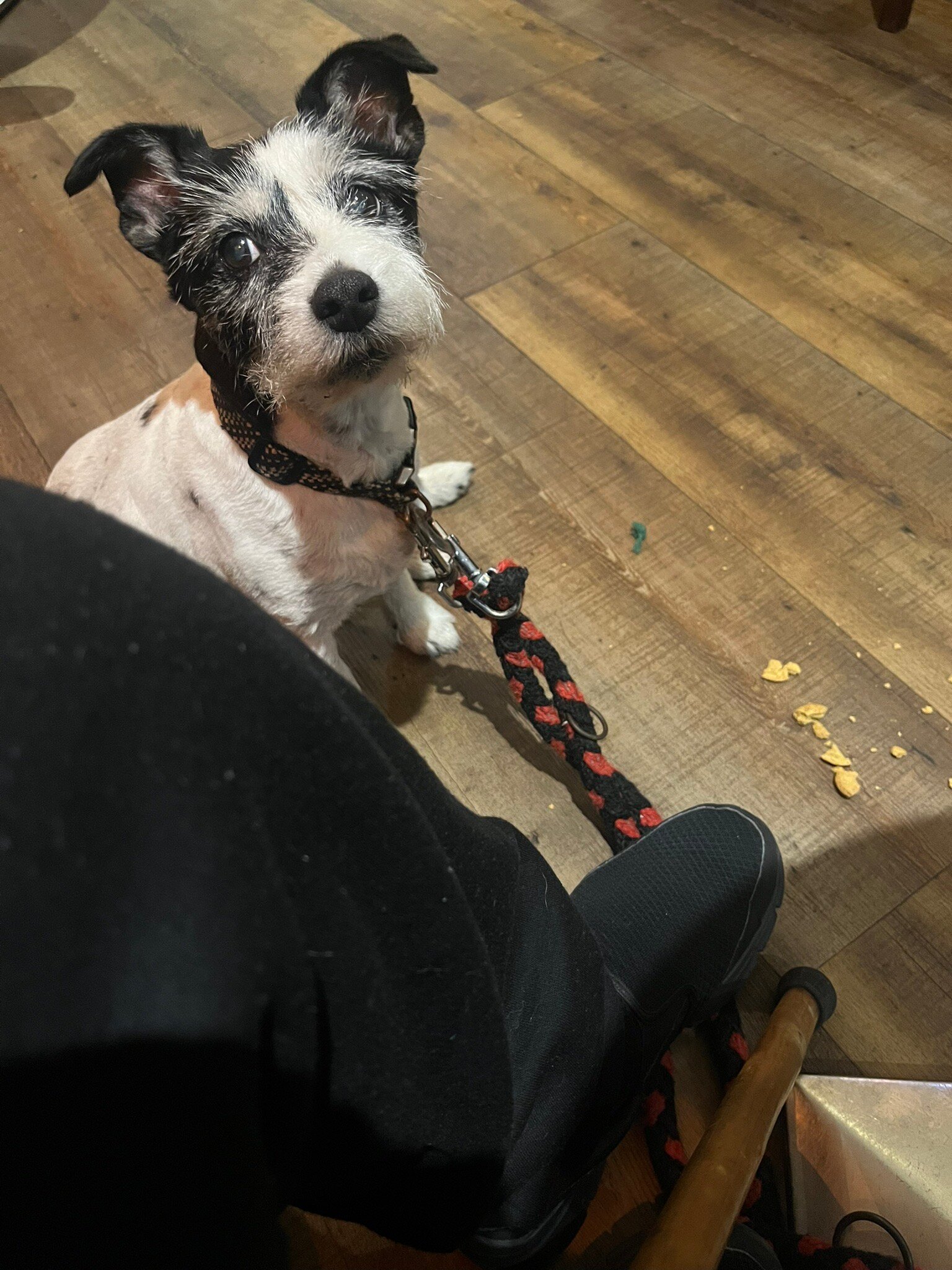 阿贝多尔酒店-官方