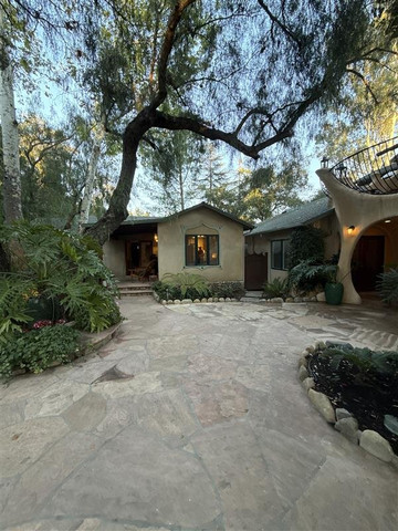 翡翠鬣蜥旅馆主图