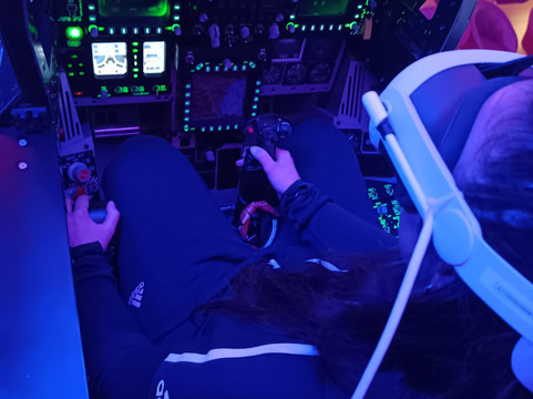 Dastyflysim - Professional Flight Simulator-Bagnatica必去景点