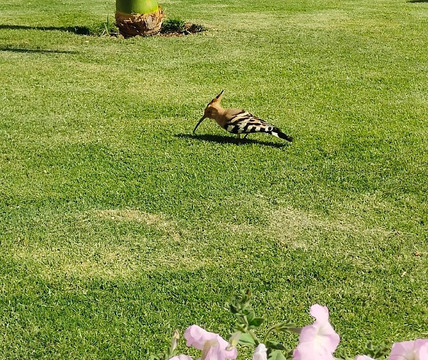 Andrea Vento Viaggi-Volla必去景点