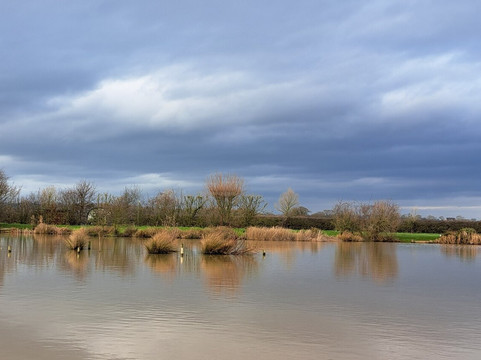 新农场民宿主图