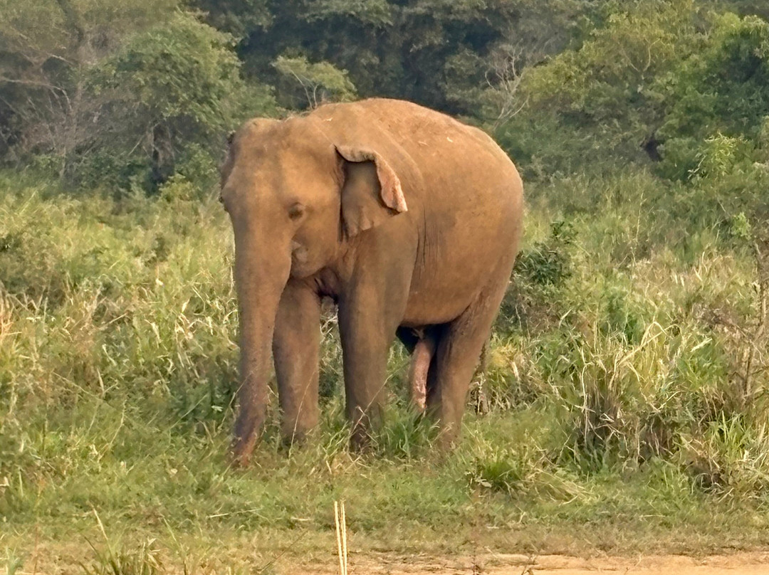 Hirumal Tours-班达拉维拉必去景点