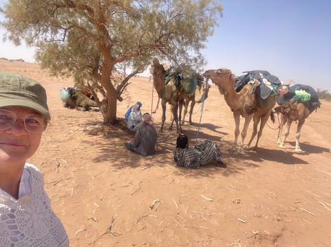 Sahara Wonders-迈哈米德必去景点