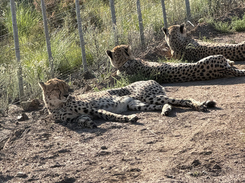 GS Adventures Motorcycle Tours-约翰内斯堡必去景点