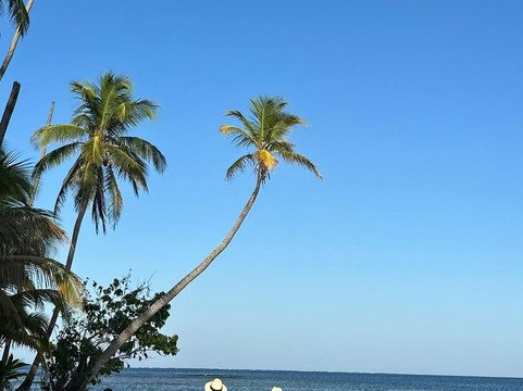 Flying Ginny Catamaran Charter-埃尔波韦尼尔必去景点