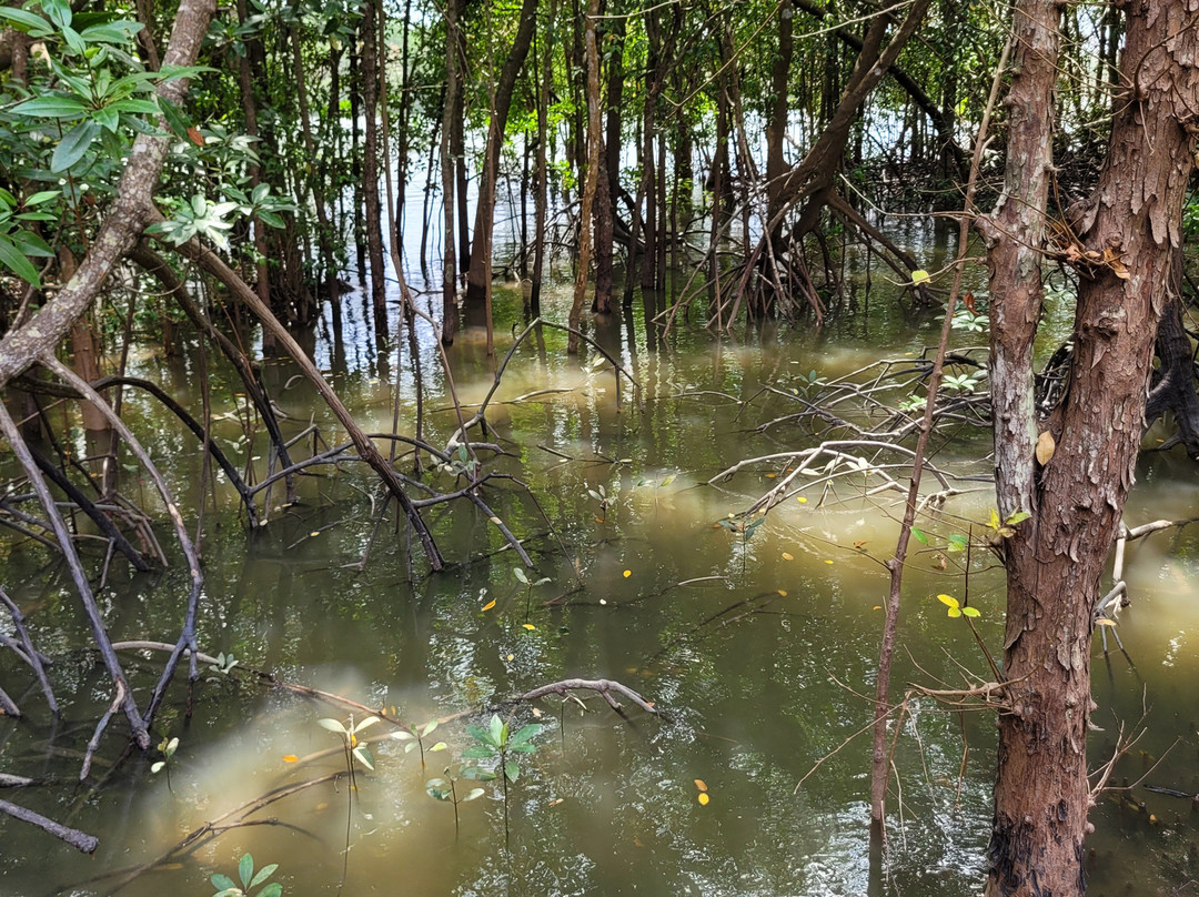 Krabi Urban Forest-Pak Nam必去景点