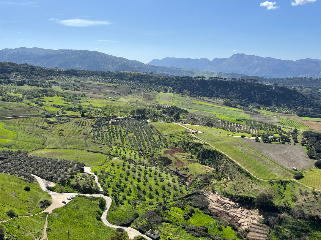 Tour Andalucia-马拉加必去景点