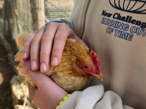 Rifugio Domo Mea-Olmedo必去景点