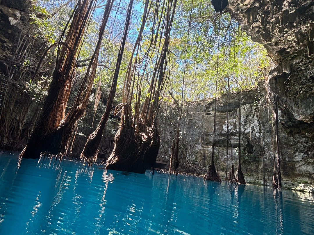 Experiencia Privada en Cenote Exclusivo-巴利亚多利德必去景点