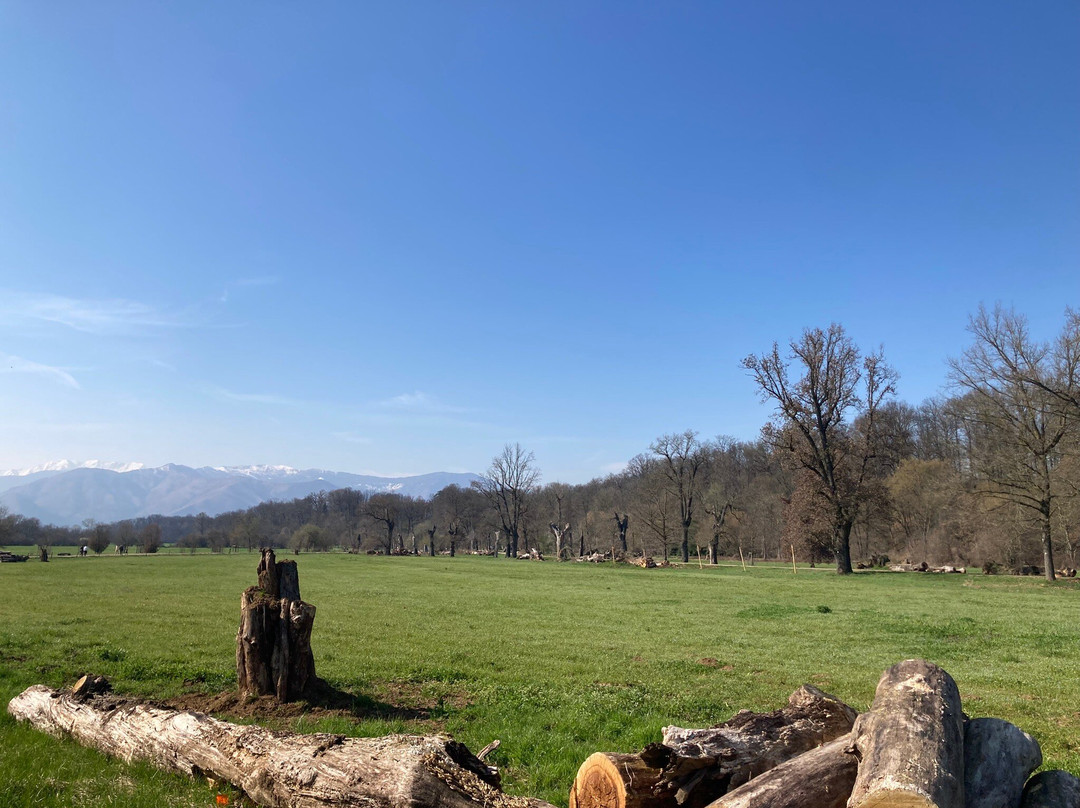 Parco Regionale La Mandria-韦纳里亚雷亚莱必去景点