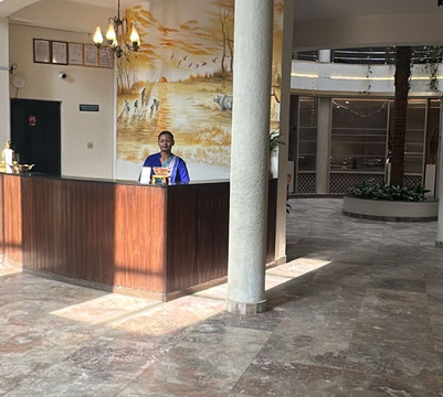 中央棕榈酒店主图