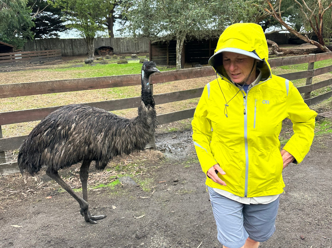 大洋路野生动物公园-Princetown必去景点