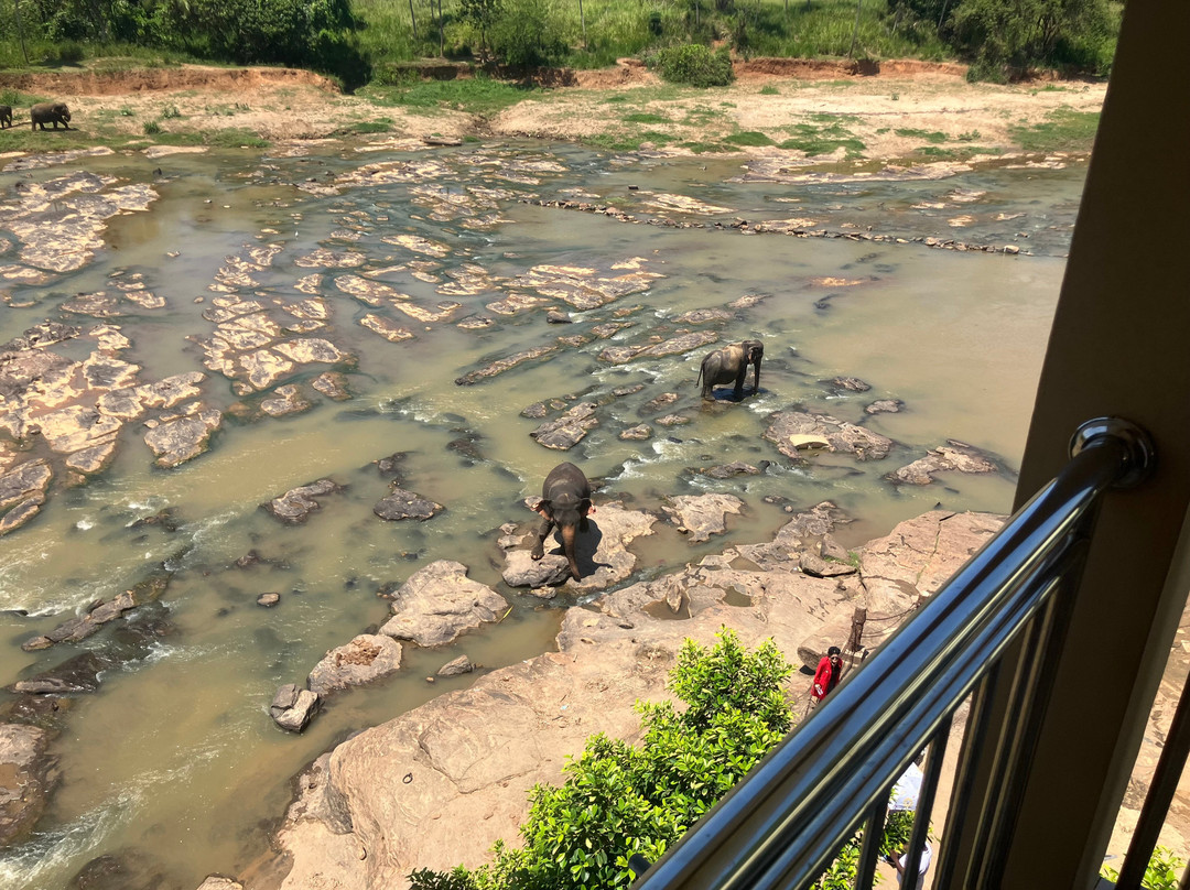 大象公园酒店主图