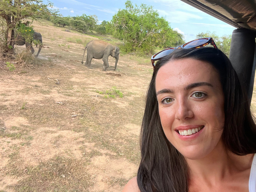 Blue Elephant Tours-Wattala必去景点