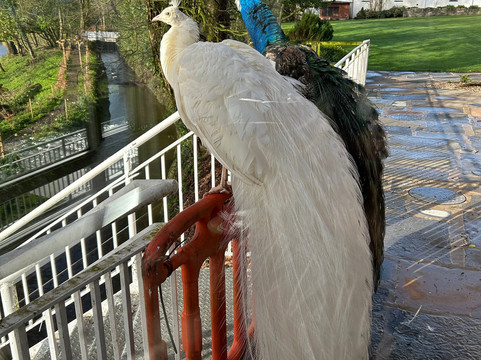 登纳德里花园酒店主图