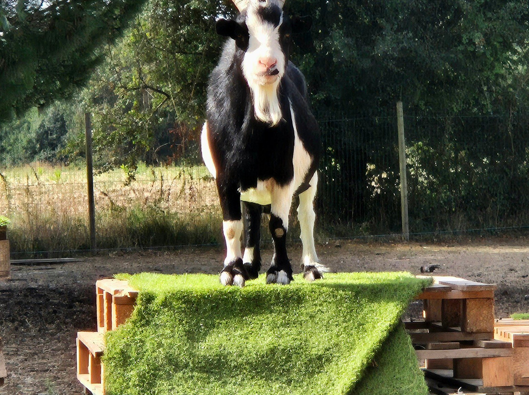 Agri'KIDS-Jarze必去景点