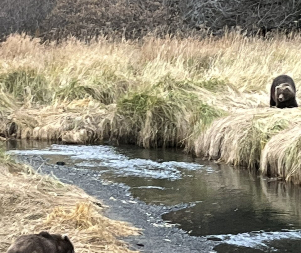 Kodiak Salmon Riders-Kodiak必去景点