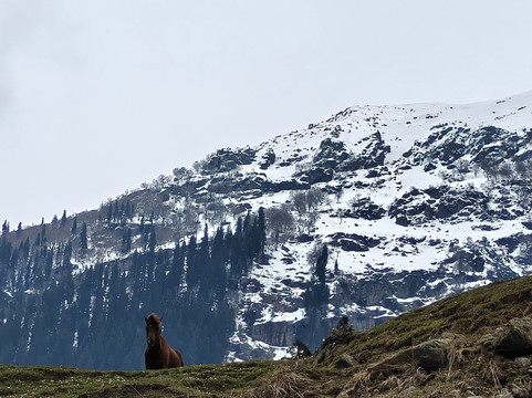 Endless Tour and Travels-帕哈甘必去景点
