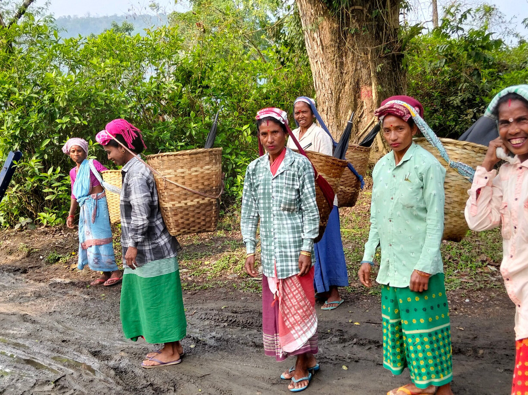 Passoin India Tours-新德里必去景点