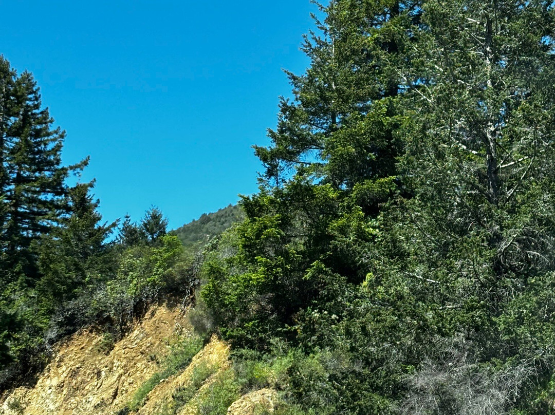 Hike To The Summit Of Mt. Tam
