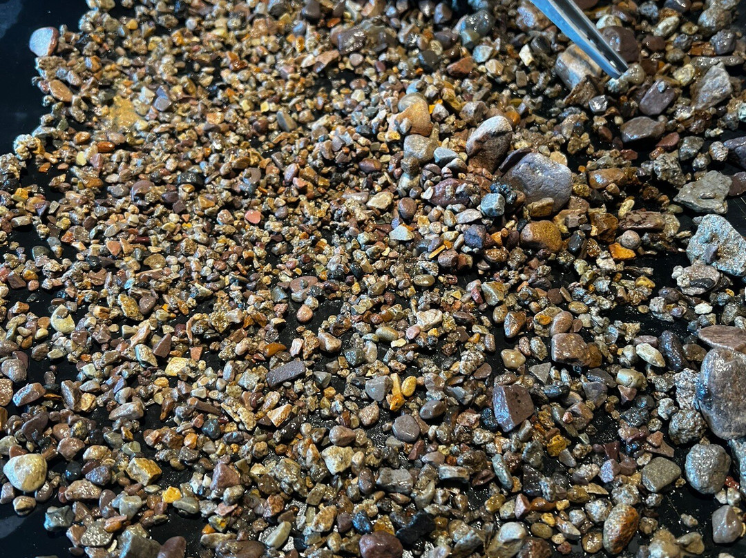Gem Mountain Sapphire Mine-菲利普斯堡必去景点