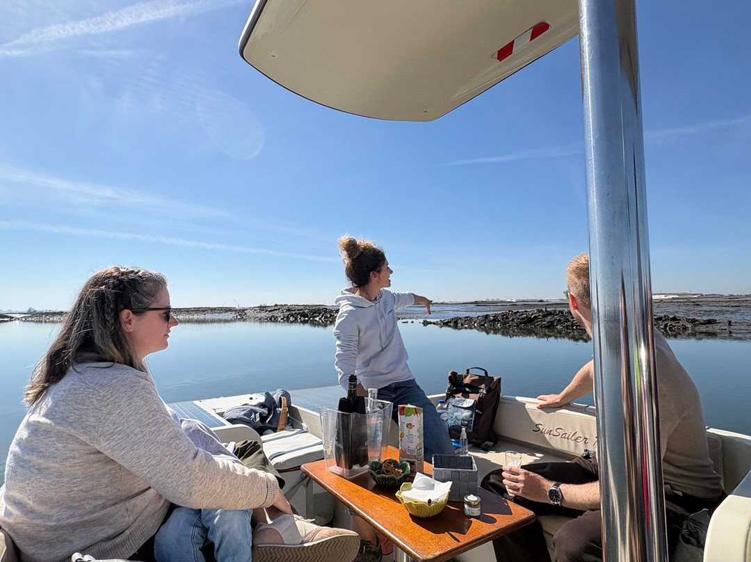 Sterna - Aveiro Ria Tours & Birdwatching-阿威罗必去景点