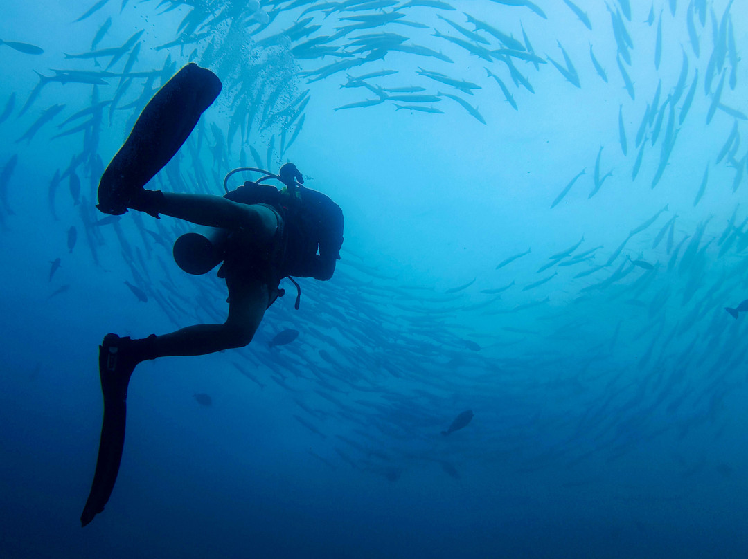Gypsy Divers Dive Resort-哈夫洛克岛必去景点