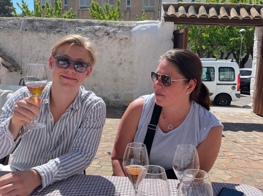 Centre d'Interpretacio De La Malvasia-锡切斯必去景点