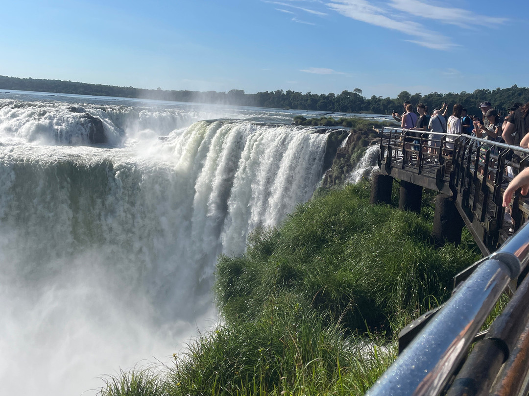 Iguazu Jungle-伊瓜苏港必去景点