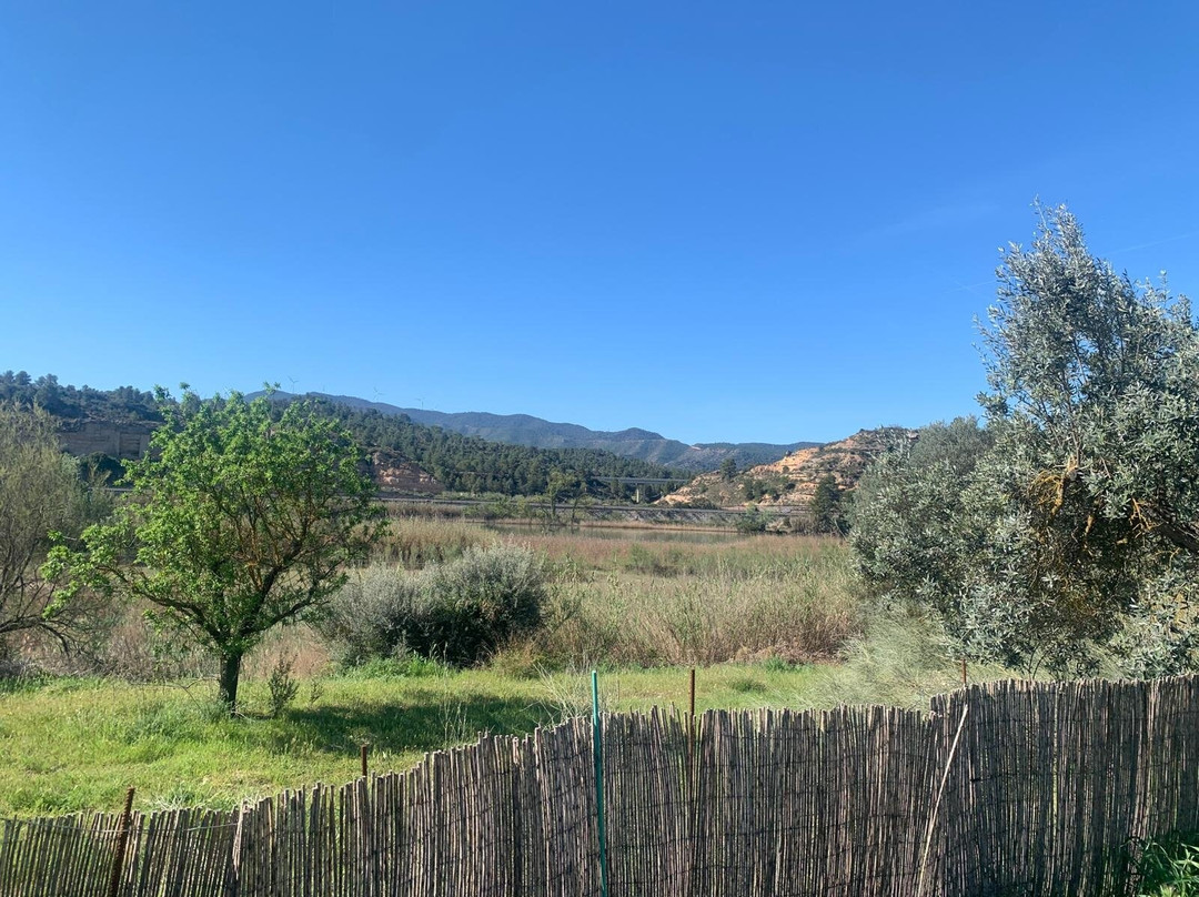 Reserva Natural de Sebes