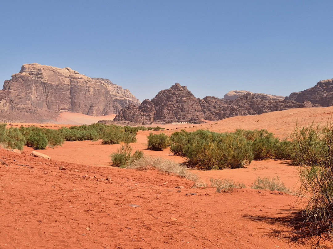 Bedouin Nights Camp-Wadi Rum Village必去景点